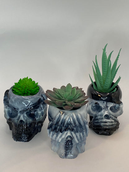 Succulent Hear No Evil, See No Evil, Speak No Evil Skull Holders 3 pc Set
