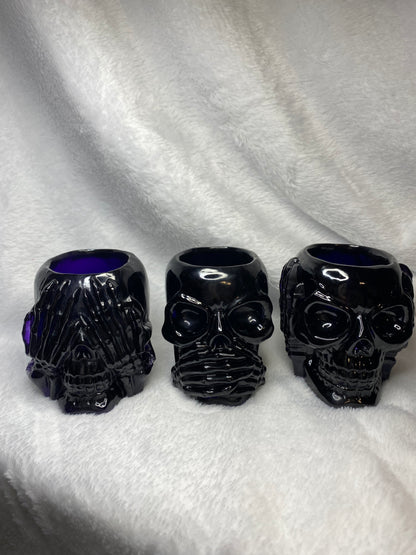 Succulent Hear No Evil, See No Evil, Speak No Evil Skull Holders 3 pc Set