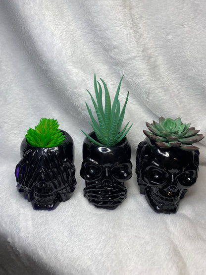 Succulent Hear No Evil, See No Evil, Speak No Evil Skull Holders 3 pc Set