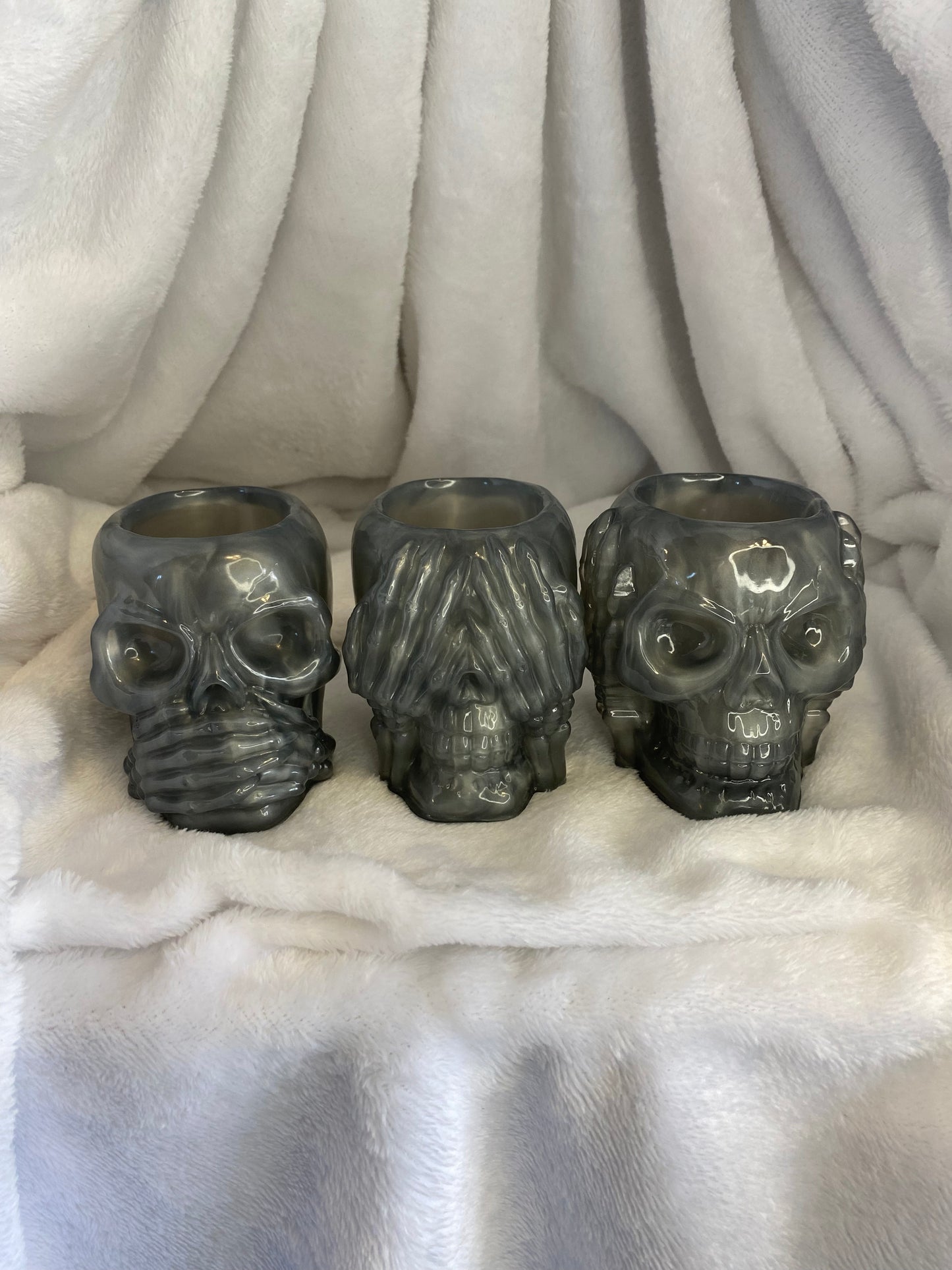 Succulent Hear No Evil, See No Evil, Speak No Evil Skull Holders 3 pc Set
