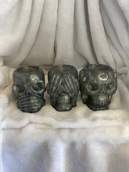 Succulent Hear No Evil, See No Evil, Speak No Evil Skull Holders 3 pc Set