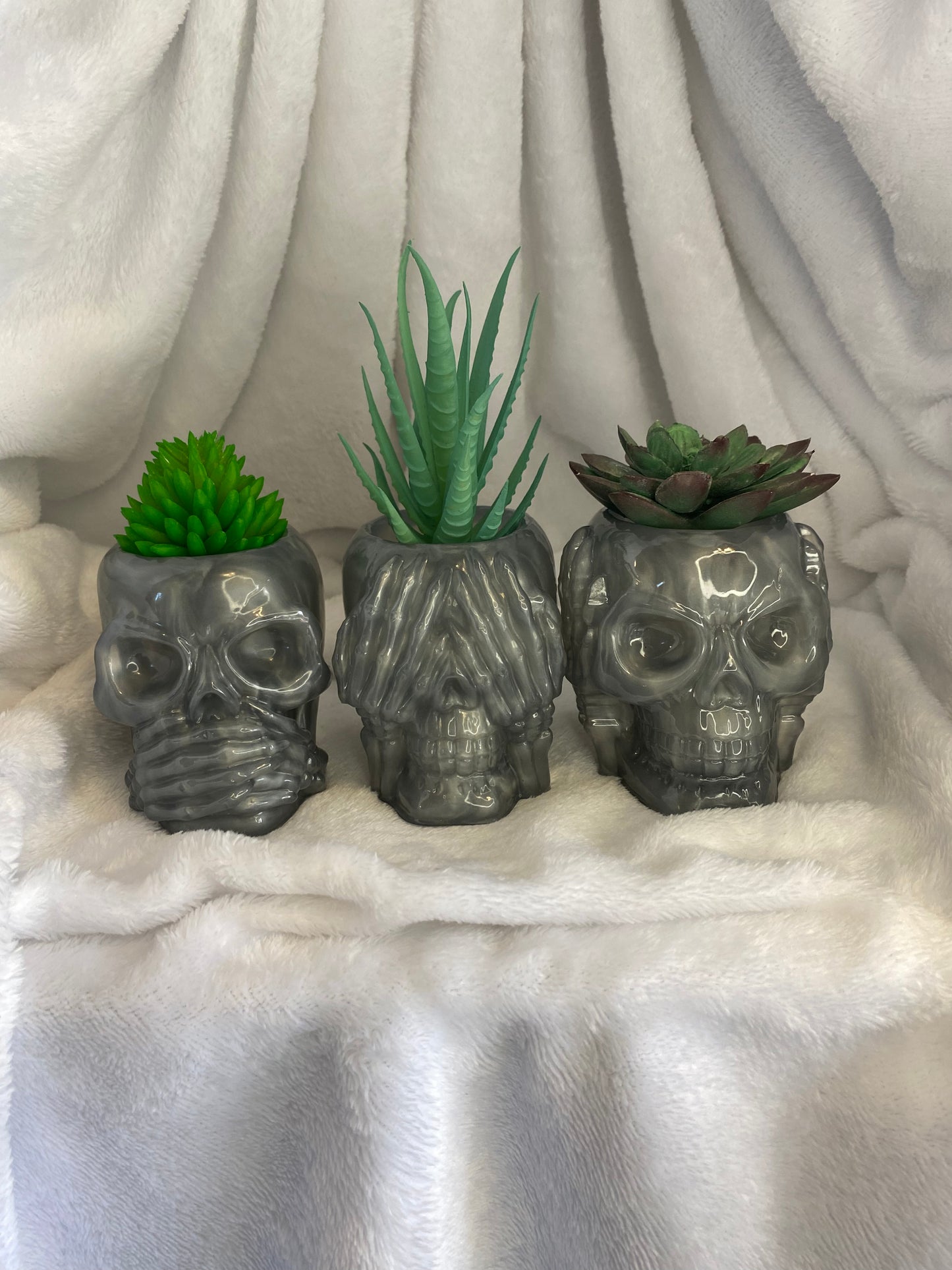 Succulent Hear No Evil, See No Evil, Speak No Evil Skull Holders 3 pc Set
